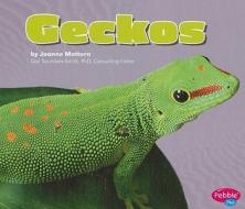 Geckos di Joanne Mattern edito da Pebble Plus