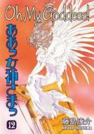 Oh My Goddess di Kosuke Fujishima edito da Dark Horse Comics,u.s.