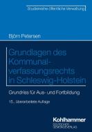 Grundlagen des Kommunalverfassungsrechts in Schleswig-Holstein di Klaus-Dieter Dehn, Björn Petersen edito da Deutscher Gemeindeverlag