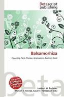 Balsamorhiza edito da Betascript Publishing