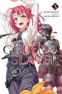 Goblin Slayer, Vol. 3 (light novel) di Kumo Kagyu edito da Little, Brown & Company