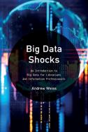 Big Data Shocks di Andrew Weiss edito da R&L