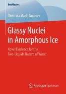 Glassy Nuclei in Amorphous Ice di Christina Maria Tonauer edito da Springer Fachmedien Wiesbaden