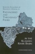 Scientific Evaluation of Biological Opinions on Endangered and Threatened Fishes in the Klamath River Basin:: Interim Re di National Research Council, Division On Earth And Life Studies, Board On Environmental Studies And Toxic edito da NATL ACADEMY PR