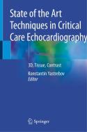 State of the Art Techniques in Critical Care Echocardiography: 3d, Tissue, Contrast edito da SPRINGER NATURE