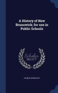 A History Of New Brunswick; For Use In Public Schools di George Upham Hay edito da Sagwan Press
