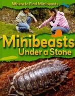 Minibeasts Under a Stone di Sarah Ridley edito da Smart Apple Media