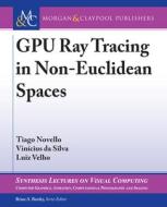 Gpu Ray Tracing in Non-Euclidean Spaces di Tiago Novello, Vinícius Da Silva, Luiz Velhom edito da MORGAN & CLAYPOOL