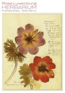 Herbarium Postkartenset di Rosa Luxemburg edito da Dietz Verlag Berlin GmbH