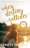 When Destiny Collides (recycled Souls Book Two) di Lynette Ferreira edito da Lulu.com
