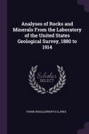 Analyses of Rocks and Minerals from the Laboratory of the United States Geological Survey, 1880 to 1914 di Frank Wigglesworth Clarke edito da CHIZINE PUBN