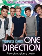 There's Only One Direction [With Poster] di Jen Wainwright edito da Barron's Educational Series