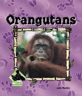 Orangutans di Julie Murray edito da Buddy Books