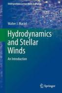 Hydrodynamics and Stellar Winds di Walter J. Maciel edito da Springer-Verlag GmbH