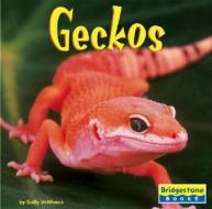 Geckos di Sally Velthaus edito da Capstone