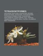 Tetraodontiformes: Triggerfish, Triacant di Books Llc edito da Books LLC, Wiki Series