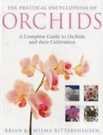 The Practical Encyclopedia Of Orchids di Brian Rittershausen, Wilma Rittershausen edito da Anness Publishing