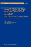 Algorithmic Methods in Non-Commutative Algebra di J. L. Bueso, José Gómez-Torrecillas, A. Verschoren edito da Springer Netherlands