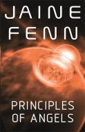 Principles Of Angels di Jaine Fenn edito da Orion Publishing Co