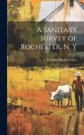A Sanitary Survey of Rochester, N. Y di Caroline Bartlett Crane edito da LEGARE STREET PR