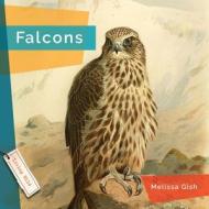 Falcons di Melissa Gish edito da CREATIVE ED & PAPERBACKS