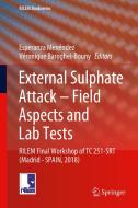 External Sulphate Attack - Field Aspects and Lab Tests edito da Springer International Publishing