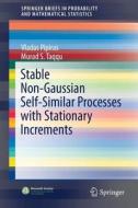 Stable Non-Gaussian Self-Similar Processes with Stationary Increments di Vladas Pipiras, Murad S. Taqqu edito da Springer-Verlag GmbH