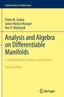 Analysis and Algebra on Differentiable Manifolds di Pedro M. Gadea, Jaime Muñoz Masqué, Ihor V. Mykytyuk edito da Springer Netherlands