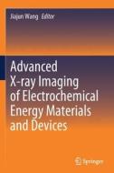 Advanced X-Ray Imaging of Electrochemical Energy Materials and Devices edito da SPRINGER NATURE