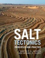 Salt Tectonics di Martin P. A. Jackson, Michael R. Hudec edito da Cambridge University Press