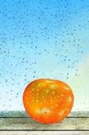 Orange Rain: Blank 200 Page Journal di Dibiasio Publications edito da CREATESPACE