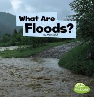 What Are Floods? di Mari C. Schuh edito da PEBBLE BOOKS