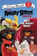The Angry Birds Movie: Meet the Angry Birds di Chris Cerasi edito da HARPERCOLLINS