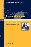 Random Polymers di Frank Den Hollander edito da Springer-verlag Berlin And Heidelberg Gmbh & Co. Kg