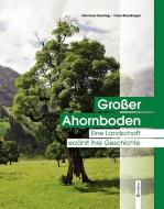 Großer Ahornboden di Hermann Sonntag, Franz Straubinger edito da Berenkamp Verlag