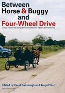 Between Horse And Buggy And Four-wheel Drive di Carel Roessingh, Tanja Plasil edito da Vu University Press