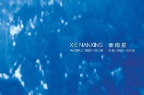 Xie Nanxing-works 1992-2008 di Peter Pakesch, Ruth Noack, Li Zhenhua edito da Timezone 8