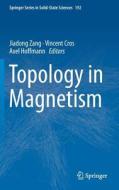 Topology in Magnetism edito da Springer-Verlag GmbH