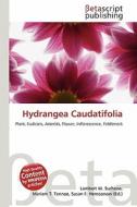 Hydrangea Caudatifolia edito da Betascript Publishing