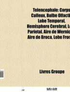 T Lenc Phale: Corps Calleux, Bulbe Olfac di Livres Groupe edito da Books LLC, Wiki Series