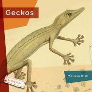 Geckos di Melissa Gish edito da CREATIVE ED & PAPERBACKS