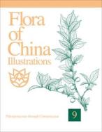 Flora of China Illustrations, Volume 9: Pittosporaceae Through Connaraceae di Zhengyi Wu, Peter H. Raven, Guanghua Zhu edito da MISSOURI BOTANICAL GARDEN PR