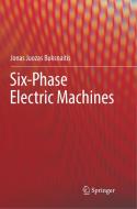 Six-Phase Electric Machines di Jonas Juozas Buksnaitis edito da Springer International Publishing