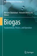 Biogas edito da Springer-Verlag GmbH