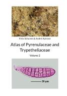 Atlas of Pyrenulaceae and Trypetheliaceae Volume 2 di Felix Schumm, André Aptroot edito da Books on Demand