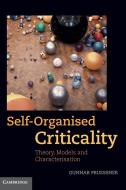 Self-Organised Criticality di Gunnar Pruessner edito da Cambridge University Press