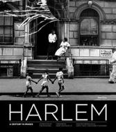 Harlem di Thelma Golden edito da Rizzoli International Publications