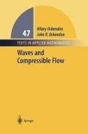 Waves and Compressible Flow di Hilary Ockendon, John R. Ockendon edito da Springer New York