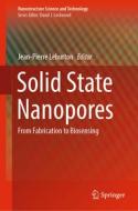 Solid State Nanopores edito da Springer International Publishing