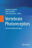 Vertebrate Photoreceptors edito da Springer Japan